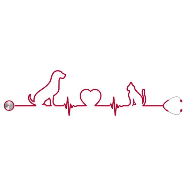 Canine & Feline Cardiology Handwiting