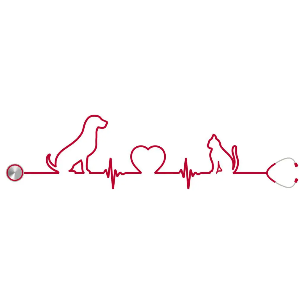 Canine & Feline Cardiology Handwiting