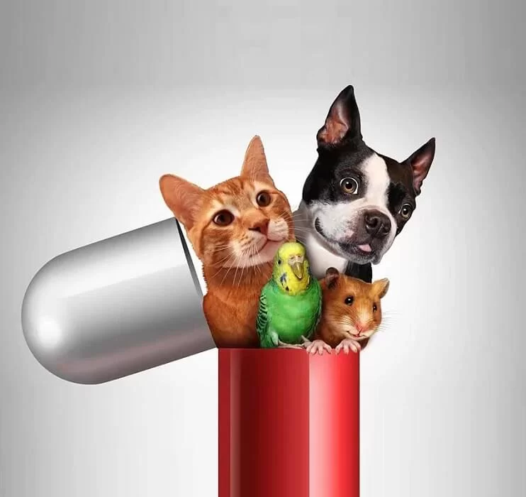 داروهای دامپزشکی